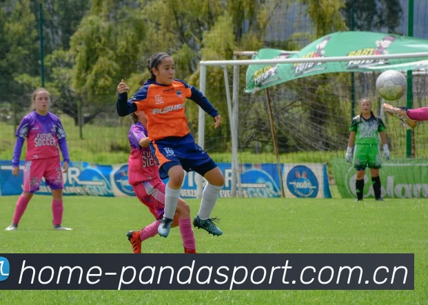 熊猫体育APP 体育赛事宣传图